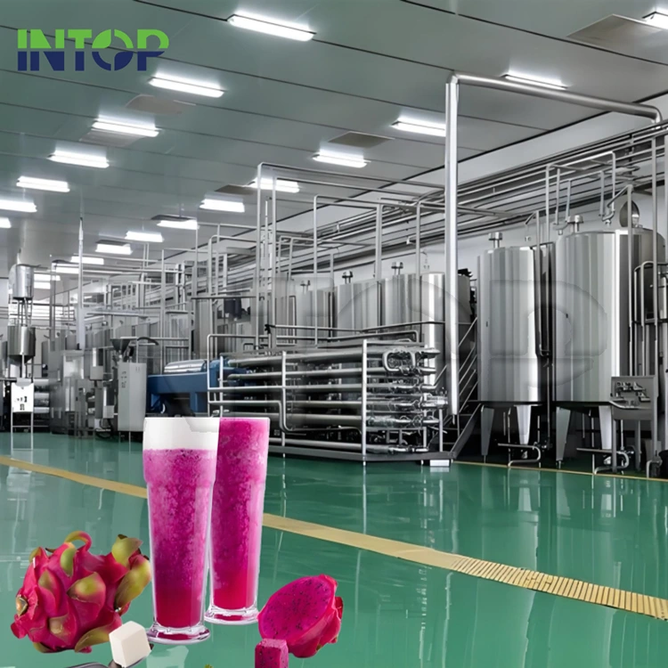Dragon Fruit Juice Produksielyn
