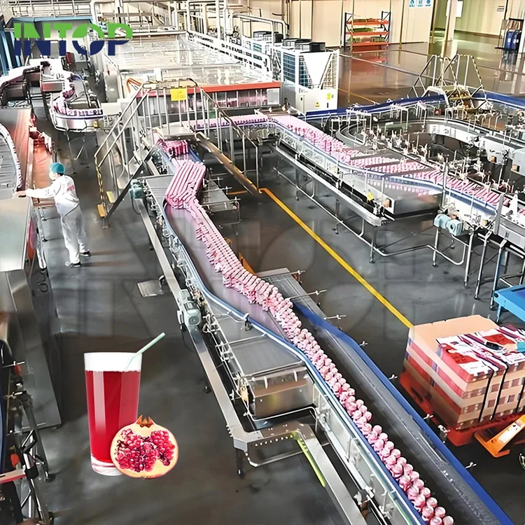 Granaatappelsap-produksielyn